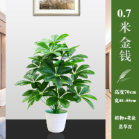 70cm金钱叶(含白盆) 假树仿真发财树金钱叶盆栽景客厅室内落地装饰大绿植塑料植物摆件