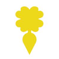 花萝卜[10只装] 双面黄 小黑飞克星粘虫板园艺诱虫果蝇诱捕器强力粘蝇胶绿植花卉厨房