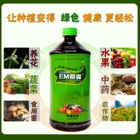 种植专用*1瓶(1000ml) 种植专用天意EM原露花卉果树兰花多肉园艺通用型花肥种植型em菌