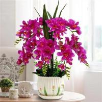 207香雪兰9支深紫 蝴蝶兰仿真花塑料花假花干花客厅摆件餐桌电视柜办公室摆放装饰花