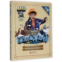 探索海洋动物(精)/探索系列/艾布克的立体笔记 启蒙早教睡前故事3-4-5-6-8岁幼儿园宝宝阅读书籍亲子阅读儿童绘本