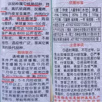 超级金黄洋葱罐装100克/罐 特大金黄皮洋葱种籽孑大葱种子白肉高桩圆球型抗病亩产高达8000kg