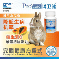 兔博士博卫健排毛木瓜丸60粒 兔子化毛膏片状 龙猫仓鼠豚鼠保健品