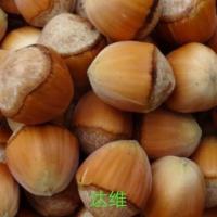 新鲜脱皮大榛子不推荐半斤250g不 桓仁特产水仁大榛子村里榛子基地农户自销平欧大榛子现摘现发水仁