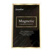 尖尾款 2mm 五对装磁铁睫毛套装 磁性睫毛眼线液镊子假睫毛套装 磁铁假睫毛