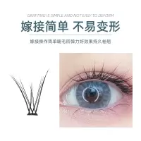 眼尾拉长款 8mm 假睫毛女超自然分段式朵毛单簇鱼尾燕尾假睫毛自嫁接单株C翘0.07