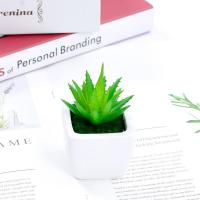 仿真盆栽 刺叶芦荟 迷你 仿真多肉植物盆栽拍照道具 ins风装饰摆件饰品道具 摄影摆拍背景