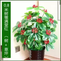0.8米树墩满堂红(不含盆) 仿真绿植招财果树假树金桔仿真植物大型盆景客厅假花盆栽假发财树