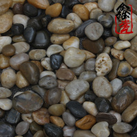 普通黑色36斤 天然白色鹅卵石铺地园艺布景庭院家用鱼缸多肉盆栽造景石头雨花石
