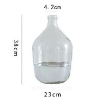 透明大肚瓶38cm不含植物 适用1.2和1.6米 楼夏家仿真绿植观音莲桌面落地装饰盆栽摆件假花室内客厅卧室植物