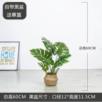 木槿紫色 60CM龟背送篮 绿植龟背竹盆栽客厅假树摆件天堂鸟北欧风大型仿真植物装饰旅人蕉