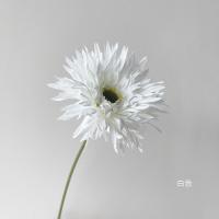 白色 JUNJUN仿真花 毛边扶郎非洲菊 家居婚庆摄影装饰花艺插花 韩式ins