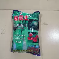 发财树专用土 裸根不带土 发财树室内客厅桌面绿植小盆栽景大苗招财树吸甲醛植物四季常青