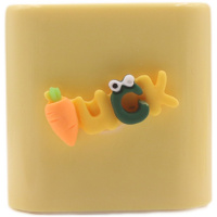 Luck 单独充电器套 苹果手机数据线保护套iphone12/13/pro充电线保护绳充电头保护壳