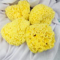 丑海绵 B级8cm介意勿拍 希腊 海绵 天然婴儿洗脸 洗澡卸妆地中海 蜂窝 丑海绵 3.5英寸