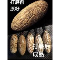 大号菩提原色原籽2个 自磨 长度80左右 千眼菩提籽成品彩色原籽把玩挂件超大高密原料菩提子手串项链彩果