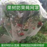 3*3米(平面型) 大棚防虫网罩防鸟桃树果树防风专用网蚊帐罗幔蓝莓防蚊莲雾网猪场