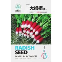 南极星大拇指萝卜种子 2g原装 适合四季种植 手指樱桃萝卜种子拇指水果种籽四季春季秋季阳台盆栽农家蔬菜孑