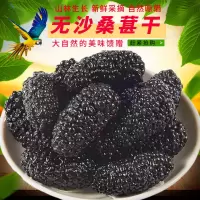 干净无沙 1斤装桑葚干特级野生黑桑葚果天然食用个大免洗桑果500g