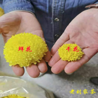 回甘爽口 小中花60克约130朵袋装 佑致绣球皇菊 菊特级婺源皇菊绣球黄山金丝小黄菊一朵一杯罐装冲泡清火茶黄贡菊