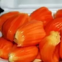 红肉菠萝蜜 4年苗 81cm(含)-110cm(含) 菠萝蜜苗树苗南方北方种植果木树苗四季榴莲苗当年结果波罗密