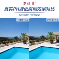 PH降低剂-1公斤 万消灵游泳池PH降低剂酸粉ph降解剂水质调节剂酸碱值平衡水处理
