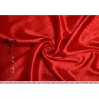 红底红龙 龙纹布料 仿古提花丝绸缎 超柔练功服汉服唐装cos服装织锦缎面料