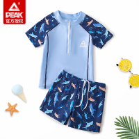 彩蓝[分体短袖款] 100码[建议身高95-105cm] 匹克儿童泳衣男童中大童分体防晒泳装夏季宝宝男孩游泳裤速干套装