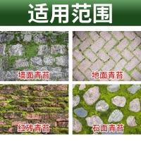 柠檬香 1L 见描述 青苔清洁剂水泥地板墙面绿苔清洁游泳池循环水快速除苔去藻清除剂