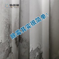 怡佰丽墙面除霉剂怡百丽墙体清洁剂多功能去霉喷雾剂神器家用明畔