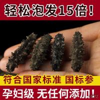 [超小迷你款]2.5-3.0cm-5只[ 淡干大连海参!野!特价海参干货淡干小海参刺参辽刺参非即食海参