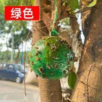 5个装[绿色] 黄板双面粘虫板诱虫板丝瓜茶菜蔬果双色板粘胶蜜蜂蝇子类猕猴桃