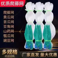 1.8*50米3股25*25(山 药网) %$ 罗汉果大棚网家用牵引丝网果网双面爬藤网网植种网U格农线蔬菜农