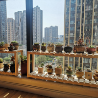 升级碳化色 盆景摆放架窗台放多肉的小花架多层窄单个落地式木阳台飘窗花盆架