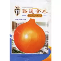 10g原装 璐通金球黄皮洋葱种子孑特大四季播圆葱阳台葱种籽农家籽秋季蔬菜