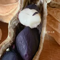 米小田 云南普洱高原黑花生老品种小粒紫皮花青素生吃晾晒不染色