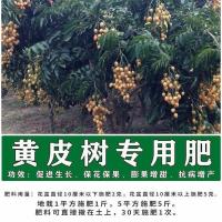 黄皮肥+1斤 黄皮树专用肥氮磷钾复合肥保花保果增产增甜农用家庭阳台种植肥料