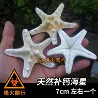 天然海星1(微量元素) 寄居蟹食物合集专用蟹粮饲料 无糖天然椰子干脆片 补钙鱼干虾干