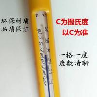 20支以上单价 水养殖温度计水温计鱼池漂浮温度计游泳池水温表海水鱼塘水温度计