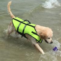 [绿色]救生衣 S-胸围43-52cm(建议6-12斤) 狗狗救生衣柯基泰迪小狗夏季浮力衣服金毛泳衣宠物大狗游泳衣夏天
