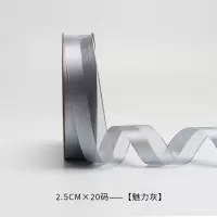 魅力灰 2.5cm×20码 禧花侬妩媚纱带韩式花艺缎带鲜花包装雪纱丝带花店花束花艺鲜花带
