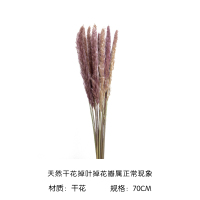 干花I(70cm) 欧式轻奢金色圆圈透明玻璃水养花瓶家居客厅餐厅桌面装饰摆件精致