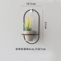 黑框+仿真芦荟 北欧风现代创意个性墙面壁挂仿真绿植壁饰花盆花艺家居玄关装饰品