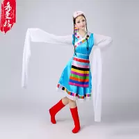 天蓝色 S 藏族舞蹈演出服装女少数民族服装成人西藏表演服水袖修身长裙服装