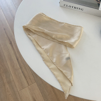 香槟色丝巾 超仙发带女外出夏季薄款绑发头绳飘带马尾复古丝巾头饰领巾发饰品