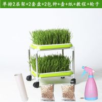 单排2层+2盘+2种+壶+纸 育苗盘阳台种菜盆塑料加密芽苗菜花架豆芽水培无土栽培育苗架子