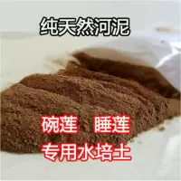 驼色 荷塘泥500克 不含盆 碗莲带花苞发货池塘水缸里养水上花期超长花卉容易养活的植物绿植