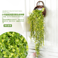 米白色 小棕吊篮+1短黄金 北欧创意简约餐厅教室卫生间墙面装饰品绿植壁挂卧室墙壁壁饰花篮