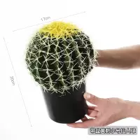 带盆黄刺小号仙人球 北欧仿真白刺仙人球盆栽摆件大号假绿植盆景装饰热带沙漠植物造景