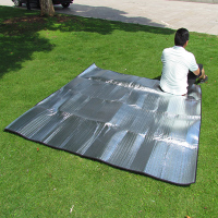 规格150cm*200cm 户外防潮垫野餐垫帐篷防潮垫地垫爬行垫铝箔垫沙滩露营野营公园垫